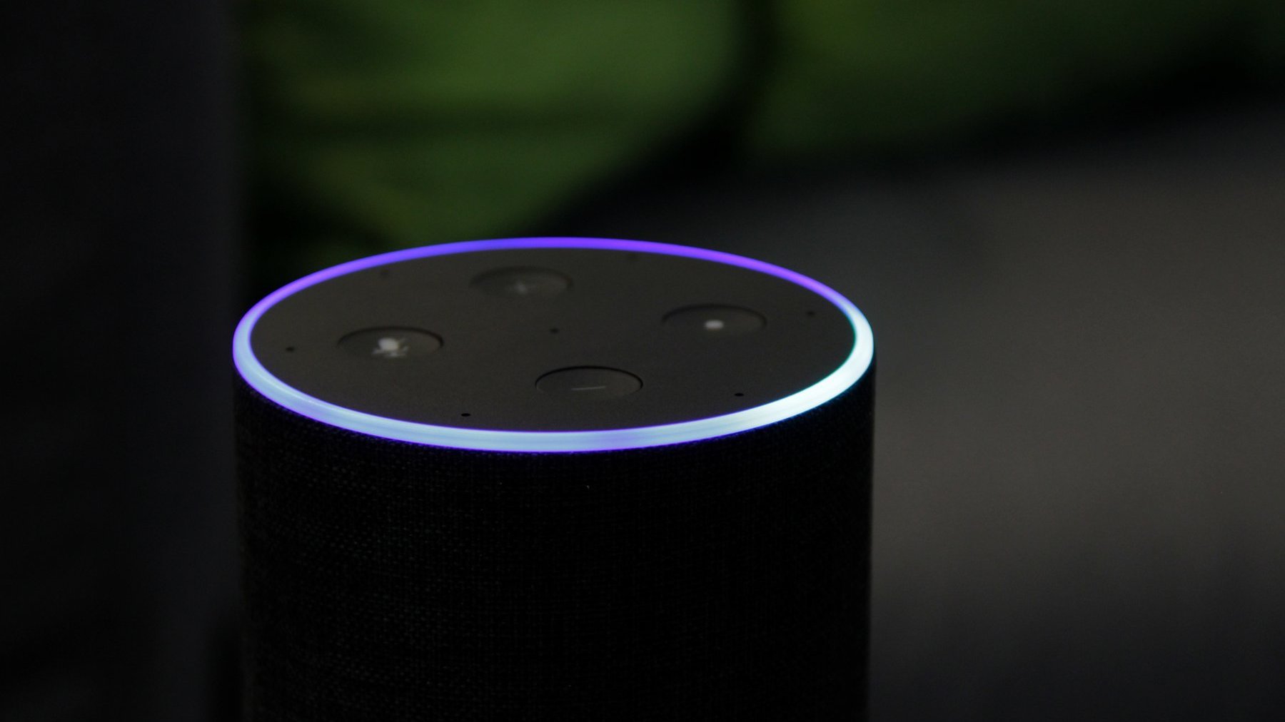 "Alexa, öffne Radio Lippe" - unser Skill für Amazon Echo