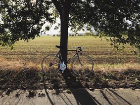 Bild von einem Fahrrad, an einen Baum gelehnt, bei Sonnenlicht